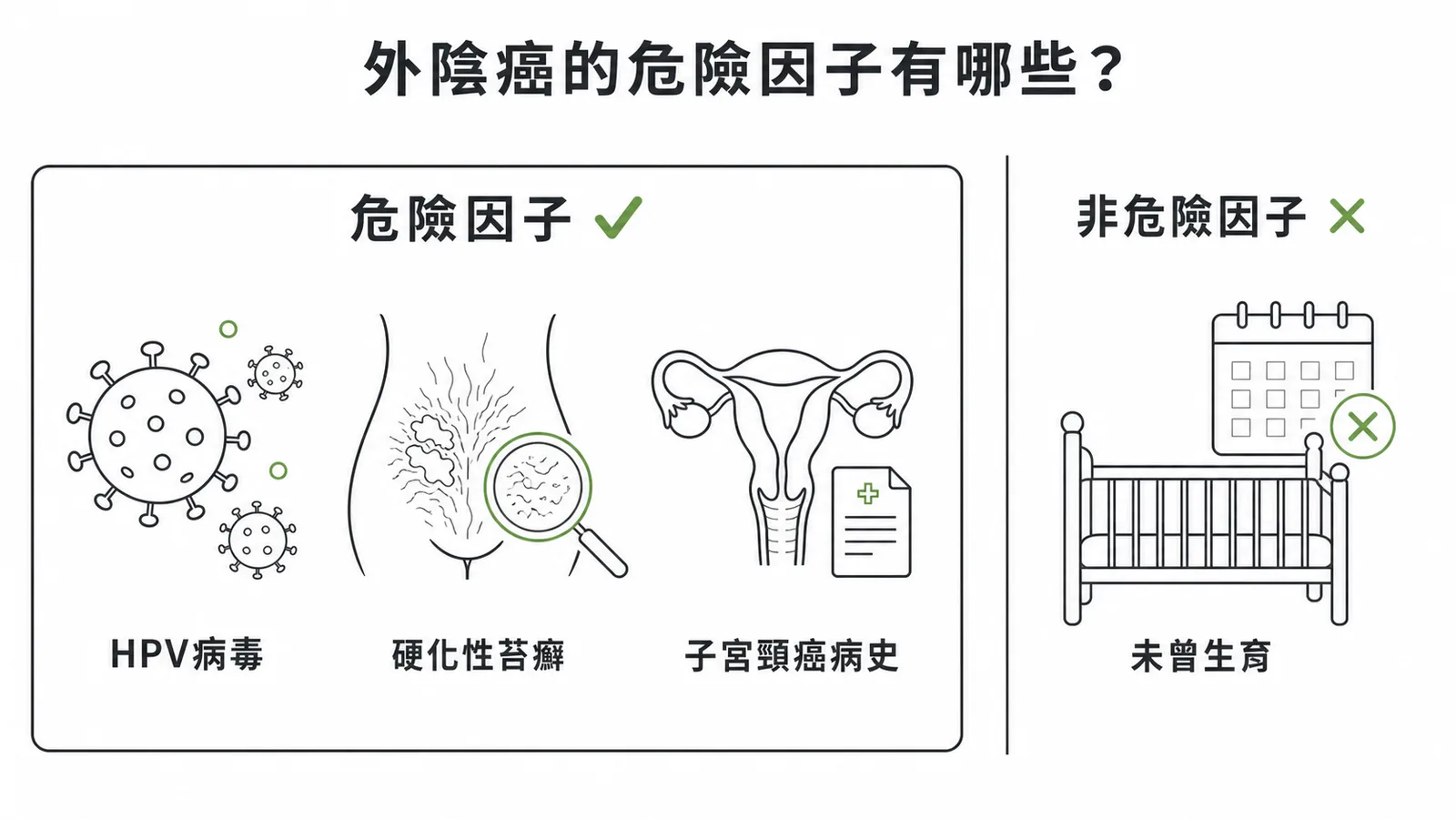 外陰癌危險因子對照圖:HPV、硬化性苔癬、子宮頸癌病史為危險因子,未曾生育則不是
