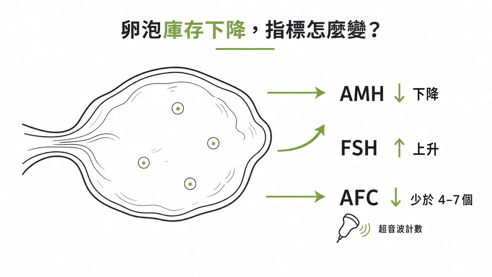 卵巢儲備下降指標方向:AMH下降、FSH上升、AFC少於4-7個