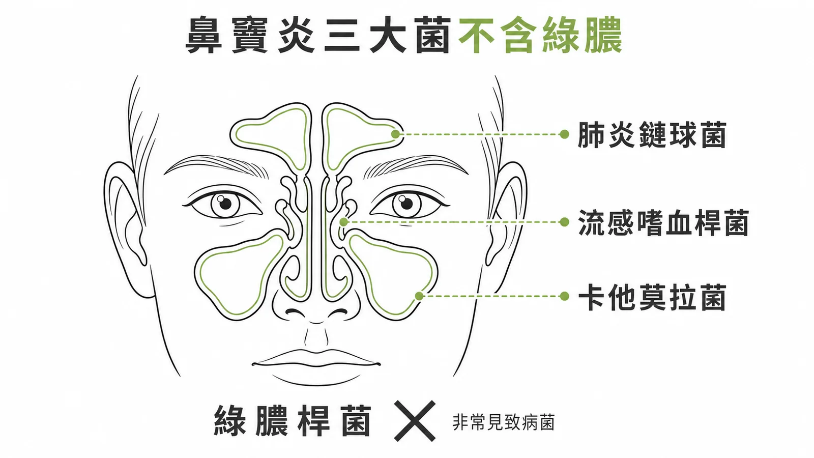 急性鼻竇炎三大致病菌：肺炎鏈球菌、流感嗜血桿菌、卡他莫拉菌，不含綠膿桿菌