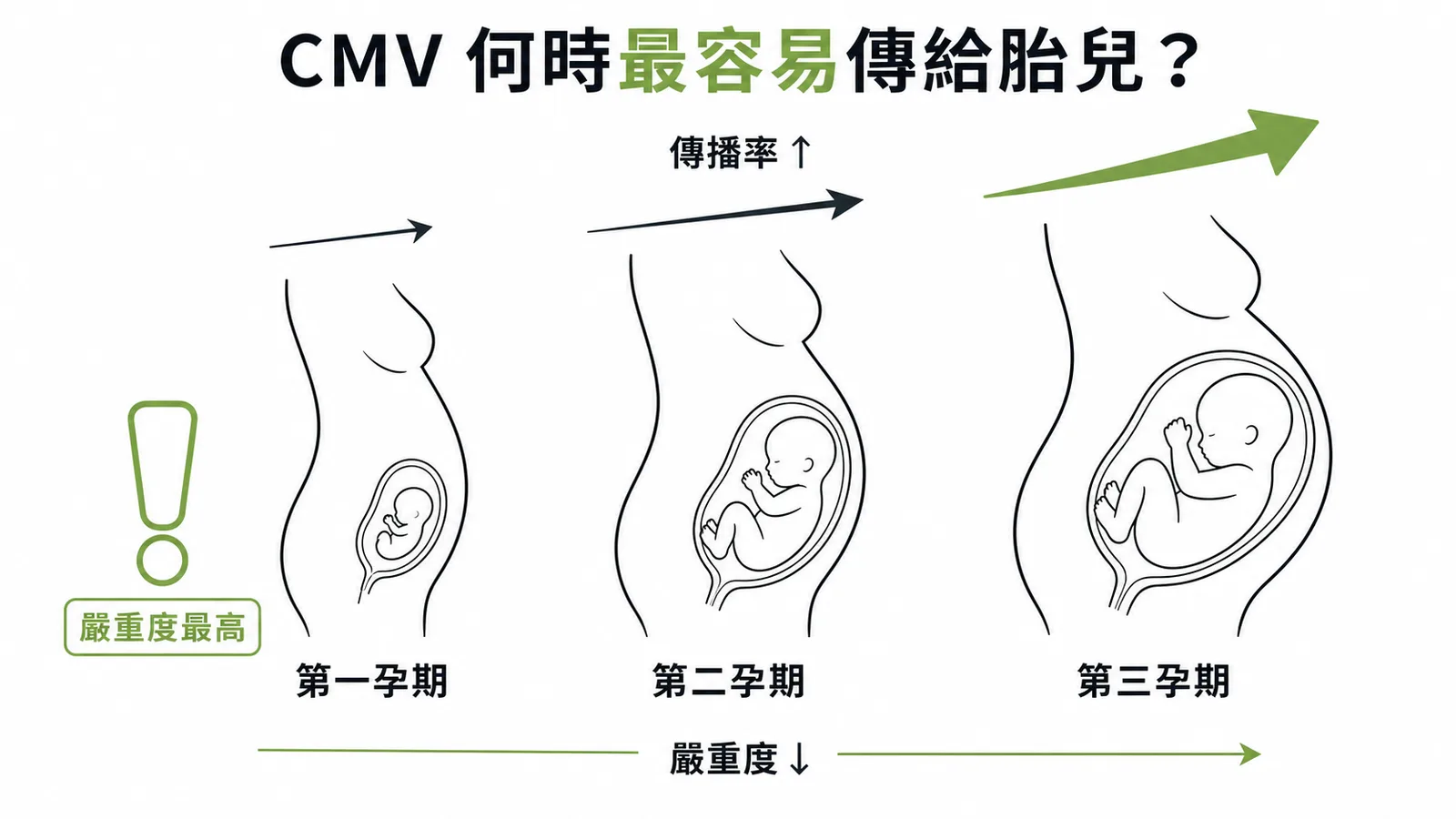 CMV垂直傳播率隨孕期遞增但嚴重度在第一孕期最高