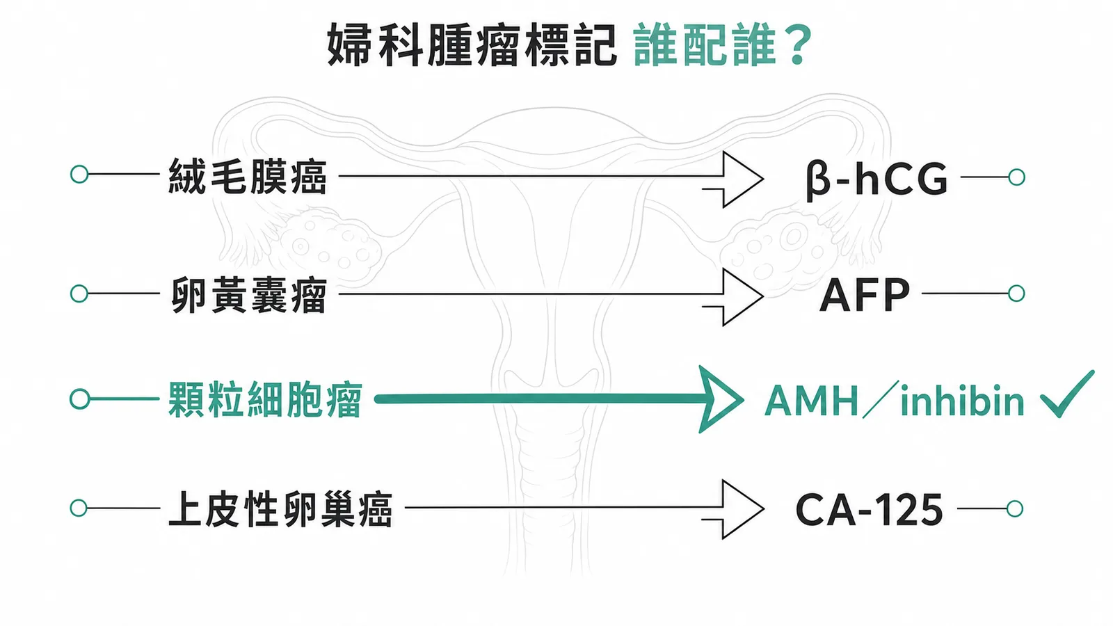 婦科腫瘤與腫瘤標記配對:顆粒細胞瘤對應 AMH 與 inhibin