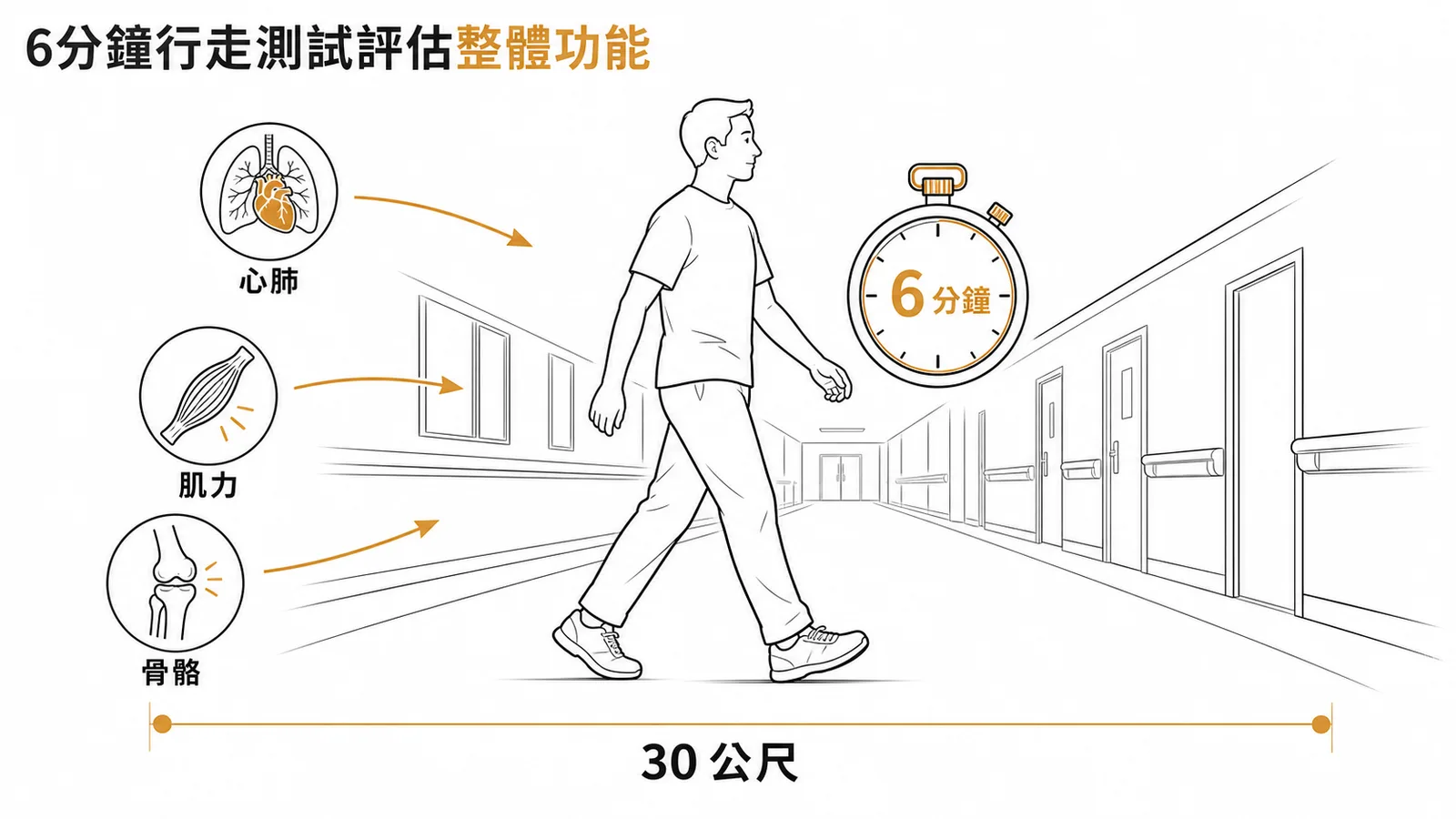 6分鐘行走測試:在30公尺走廊行走評估整體心肺與肌骨功能