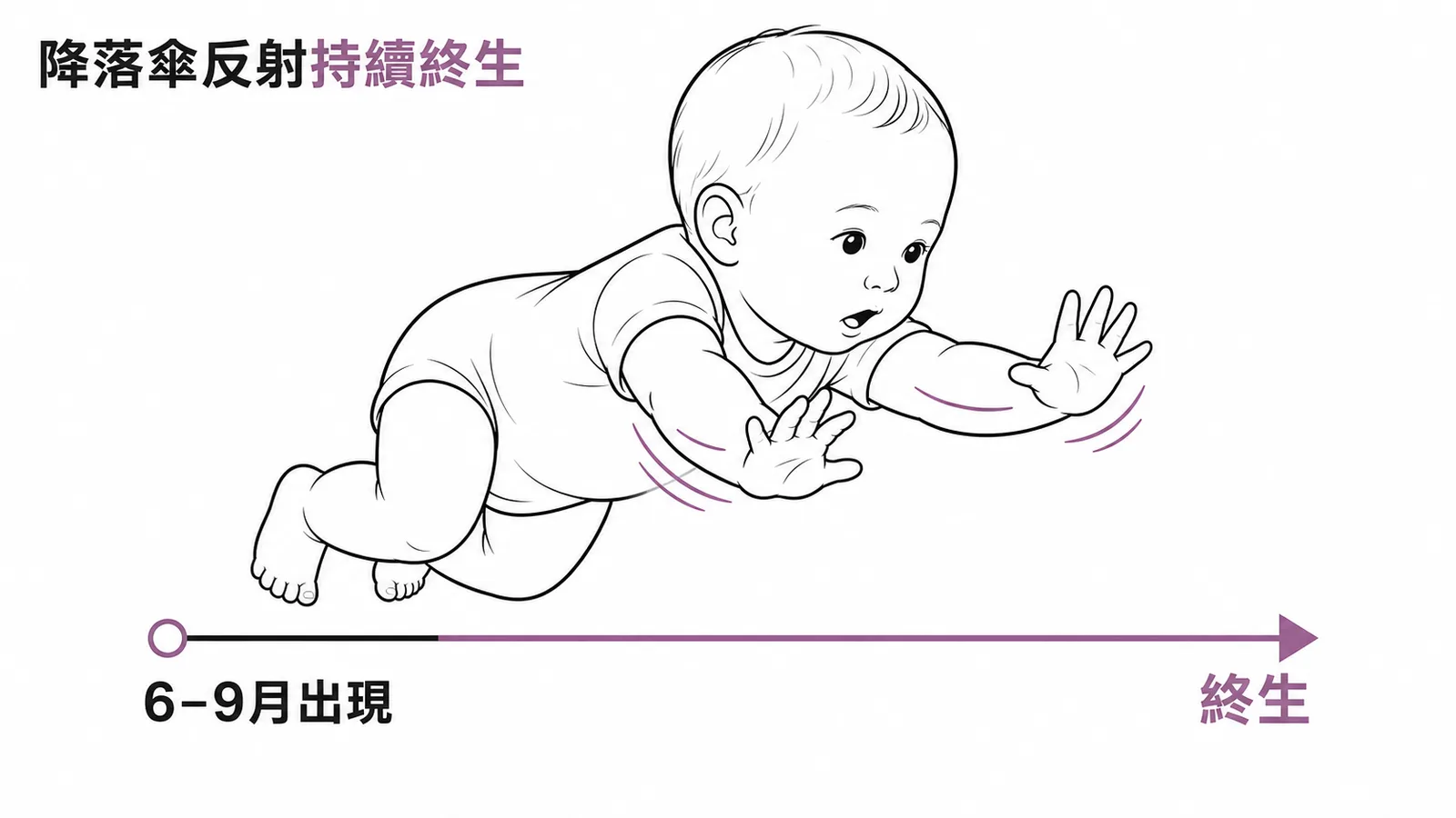 降落傘反射：6至9個月出現後持續終生的保護性反射