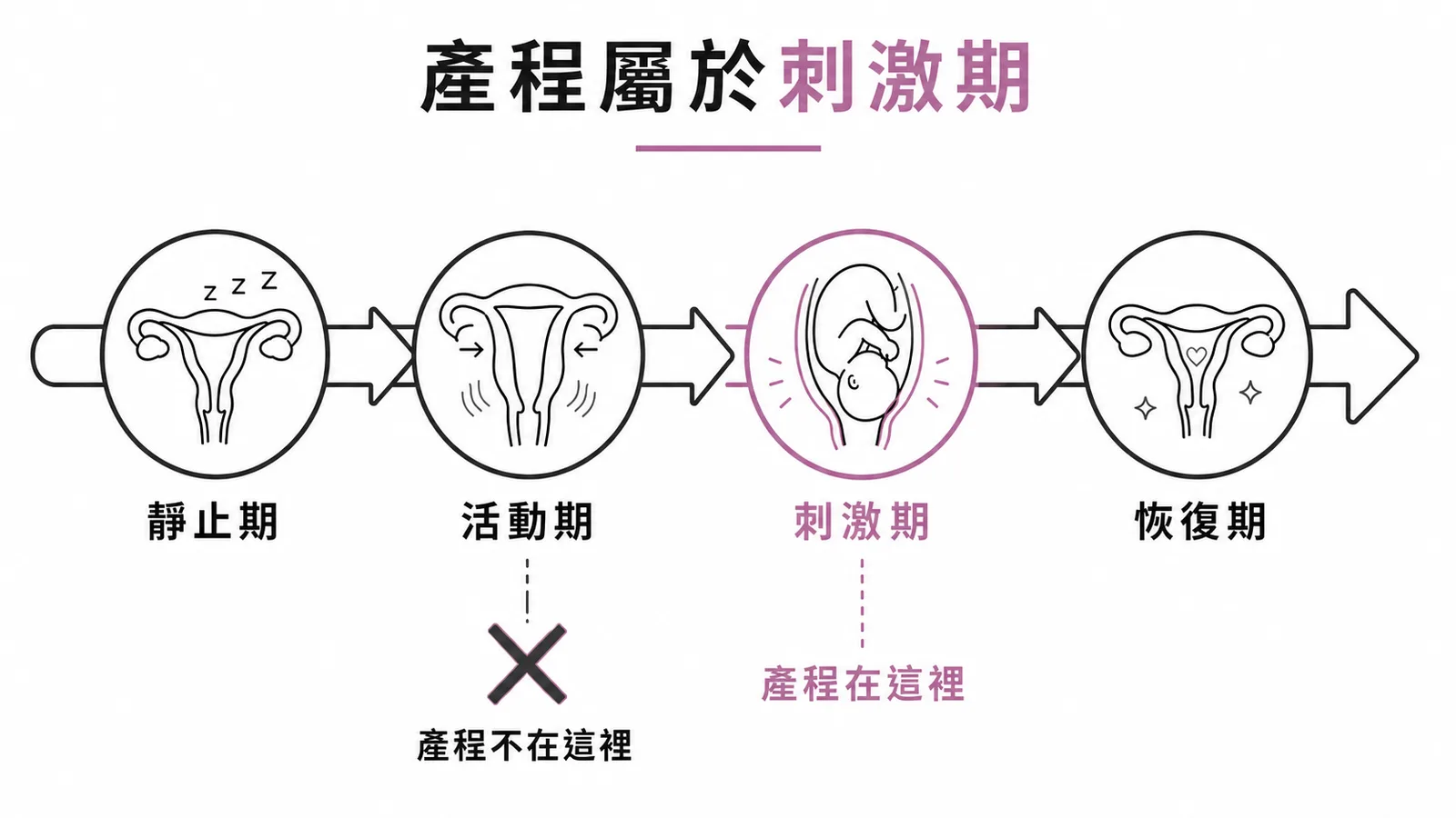 整體分娩四階段與產程位置示意圖