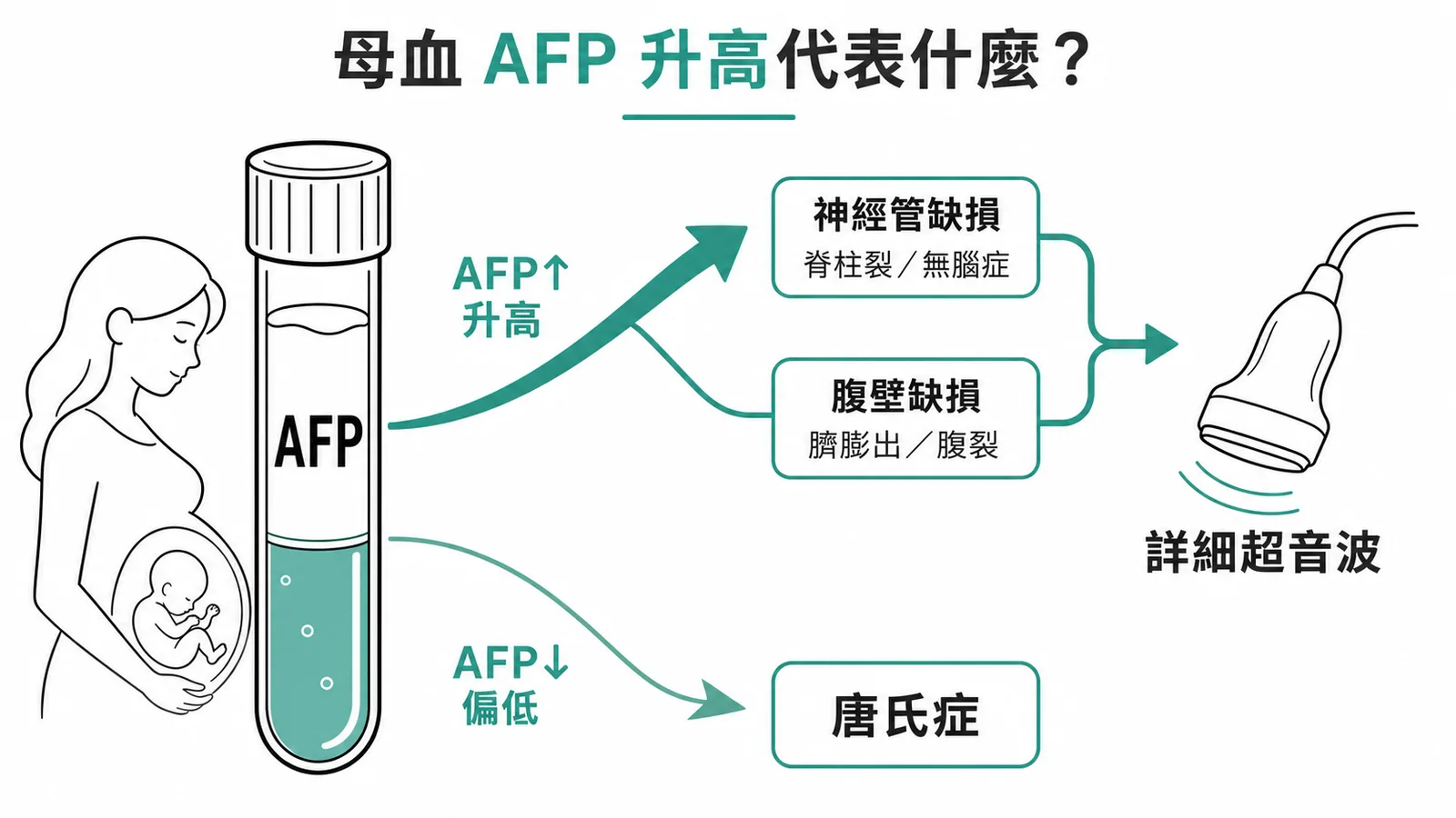母血AFP升高代表神經管或腹壁缺損需詳細超音波而非唐氏症
