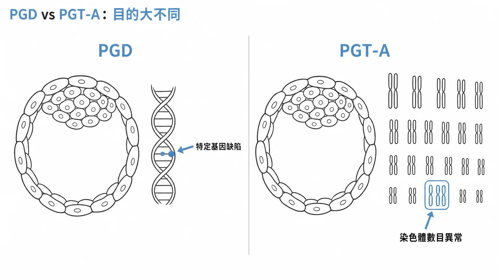 PGD針對已知基因疾病，PGT-A篩檢染色體數目異常