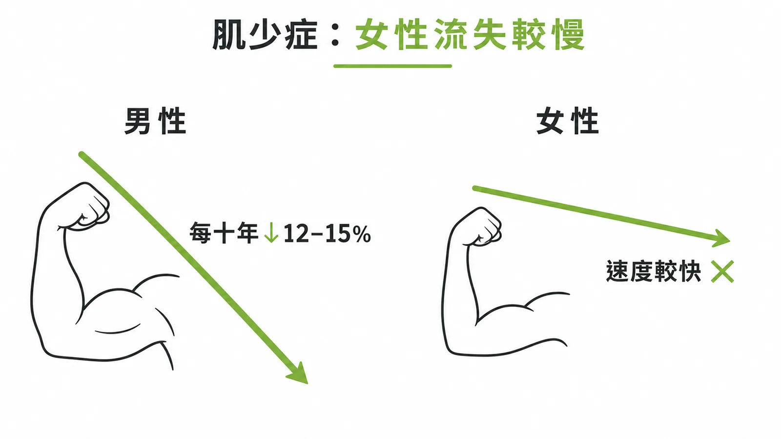 肌少症性別差異:男性每十年降12-15%,女性流失速度較慢