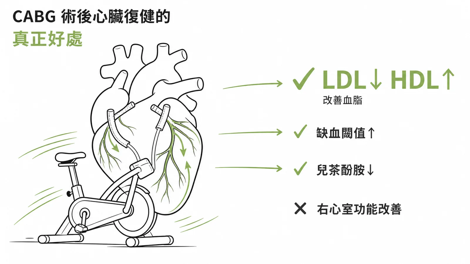 CABG 術後心臟復健的正確效益:改善血脂、提高缺血閾值、降低兒茶酚胺