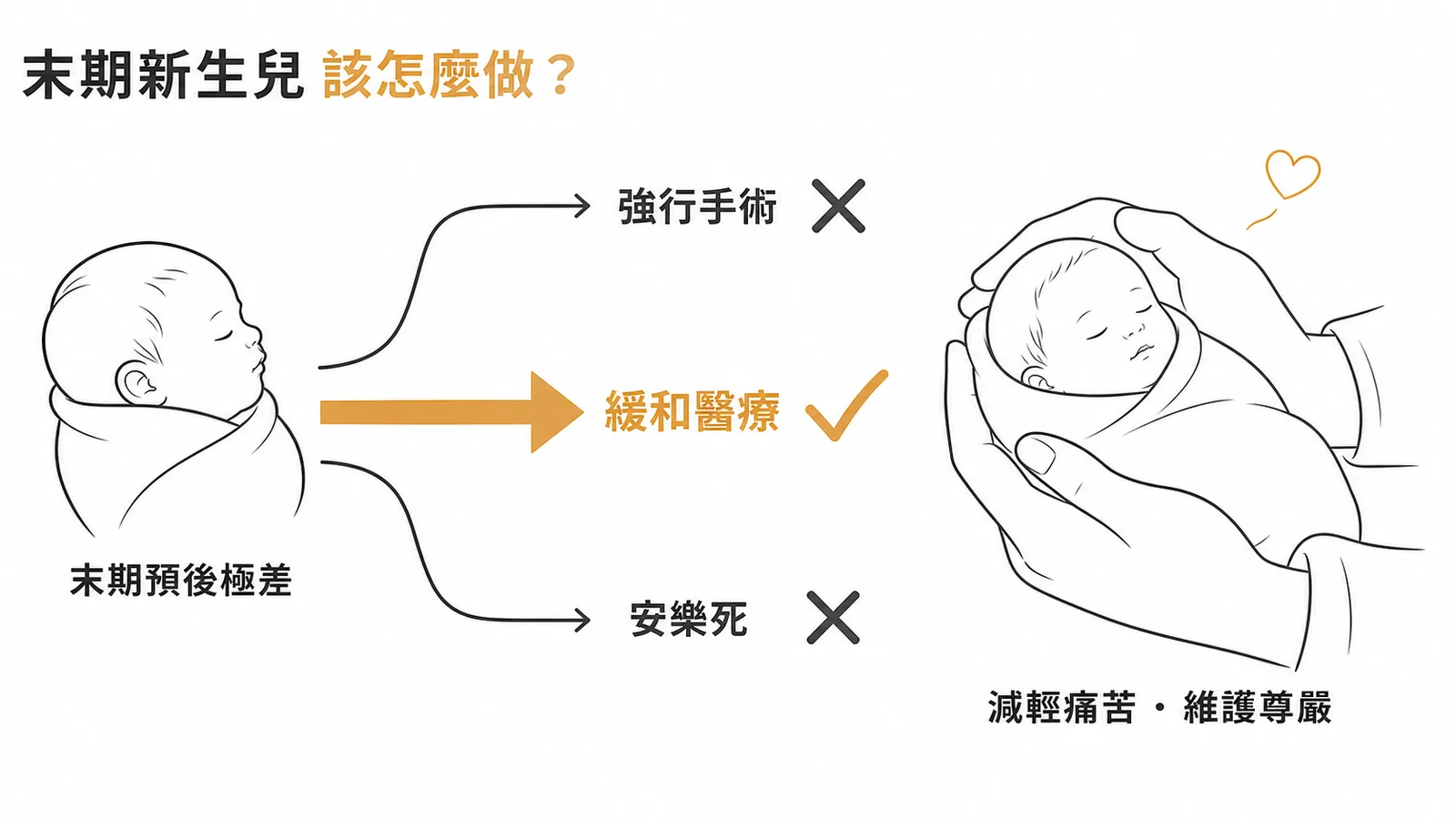 末期新生兒醫療決策：緩和醫療為最適當處置，強行手術與安樂死皆不適當