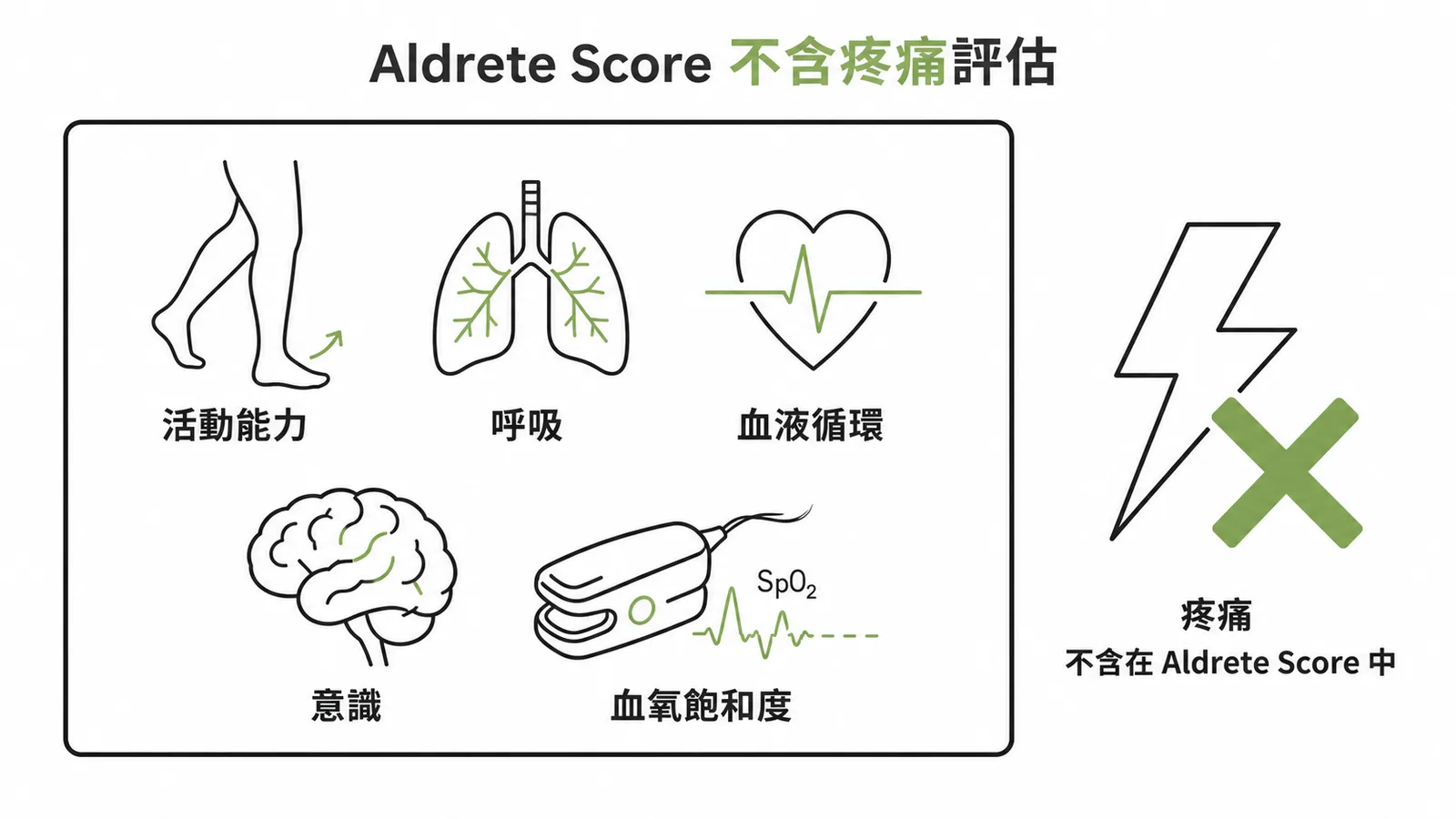 Aldrete Score 五項評估項目與疼痛不包含在內的示意圖