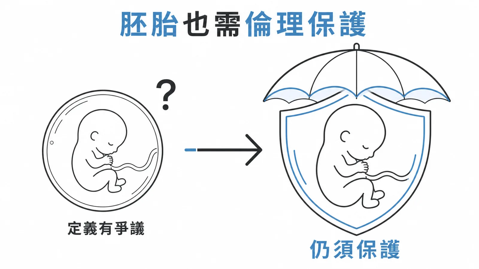 胚胎在研究倫理中屬於易受傷害族群需保護