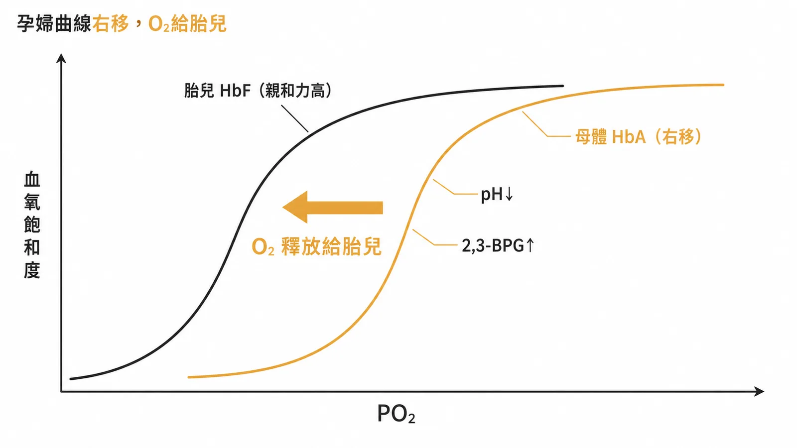 懷孕母體血氧飽和曲線右移,HbA親和力降低,O2更容易釋放給胎兒HbF