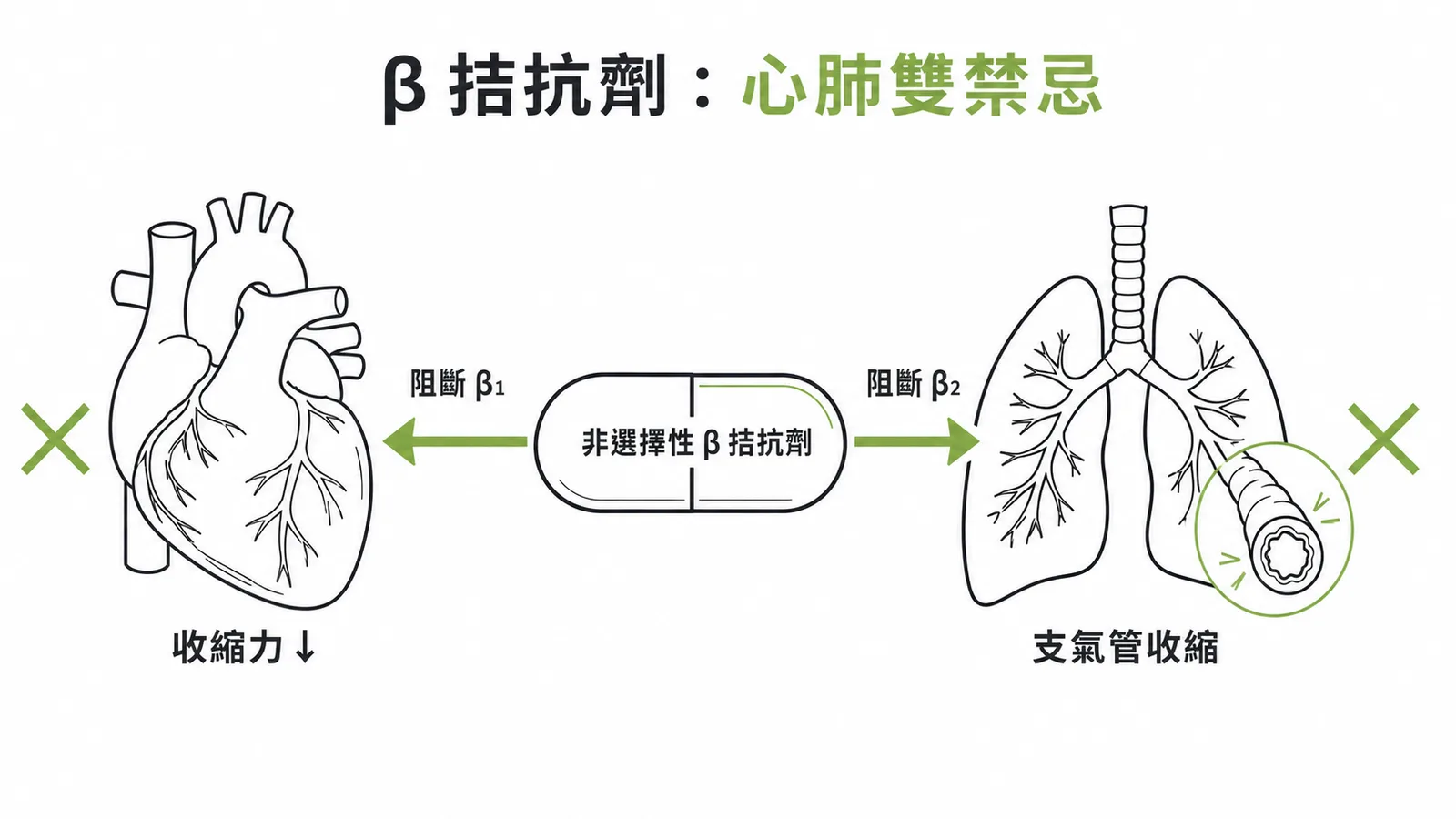 非選擇性β拮抗劑同時阻斷心臟β1與支氣管β2受體的雙重風險
