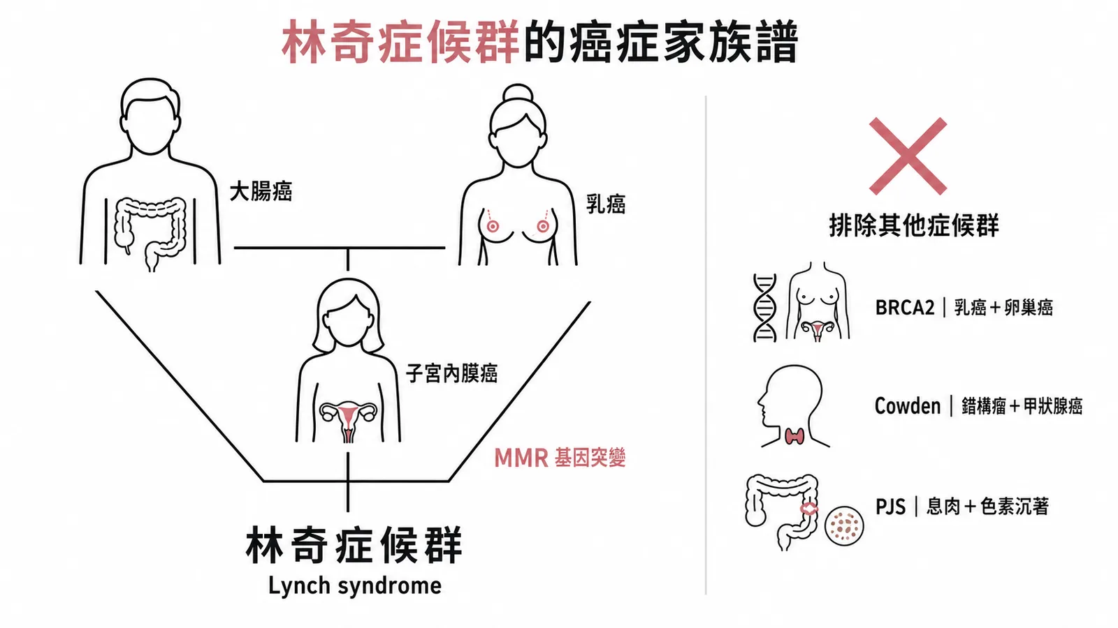 林奇症候群的癌症家族譜:子宮內膜癌、大腸癌、乳癌與 MMR 基因突變