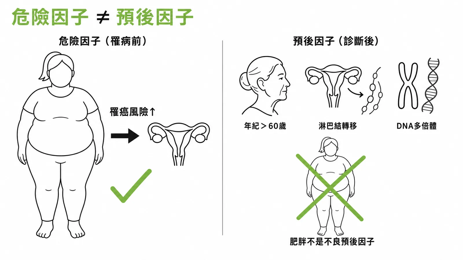 子宮內膜癌的危險因子與預後因子對照:肥胖是危險因子但非不良預後因子
