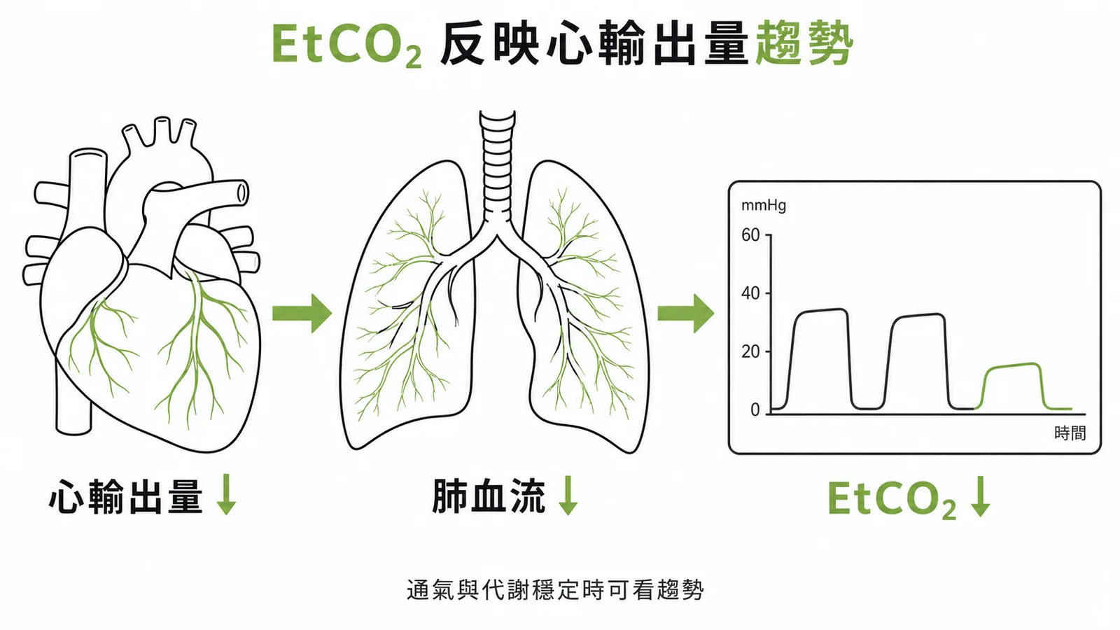 潮氣末二氧化碳可間接監測心輸出量趨勢