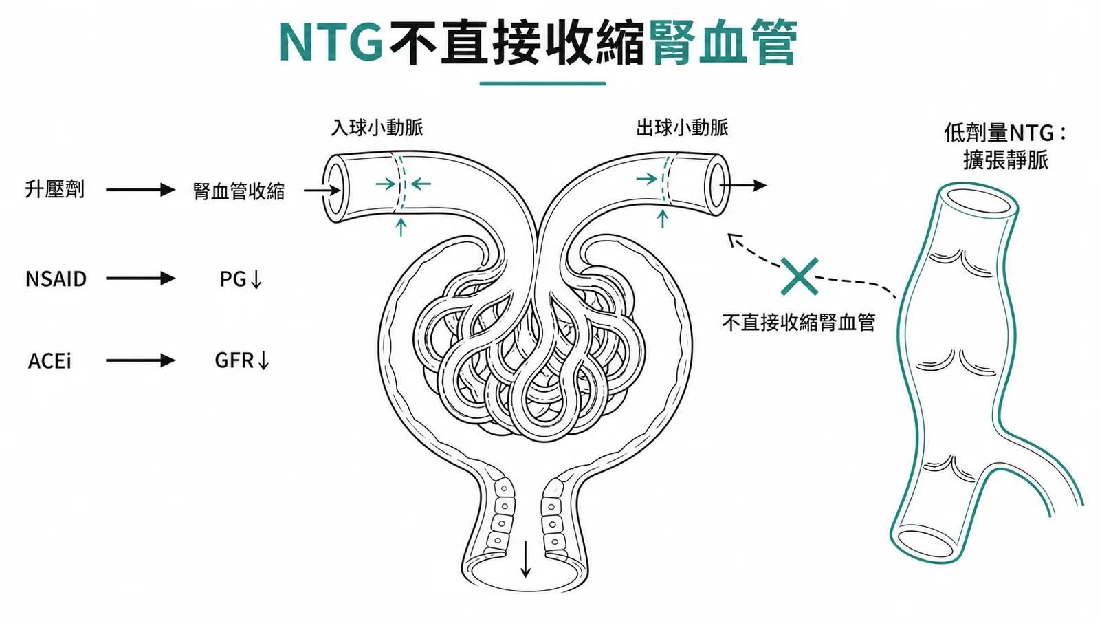 低劑量硝化甘油不直接收縮腎血管與其他藥物造成腎臟低灌流對照示意圖