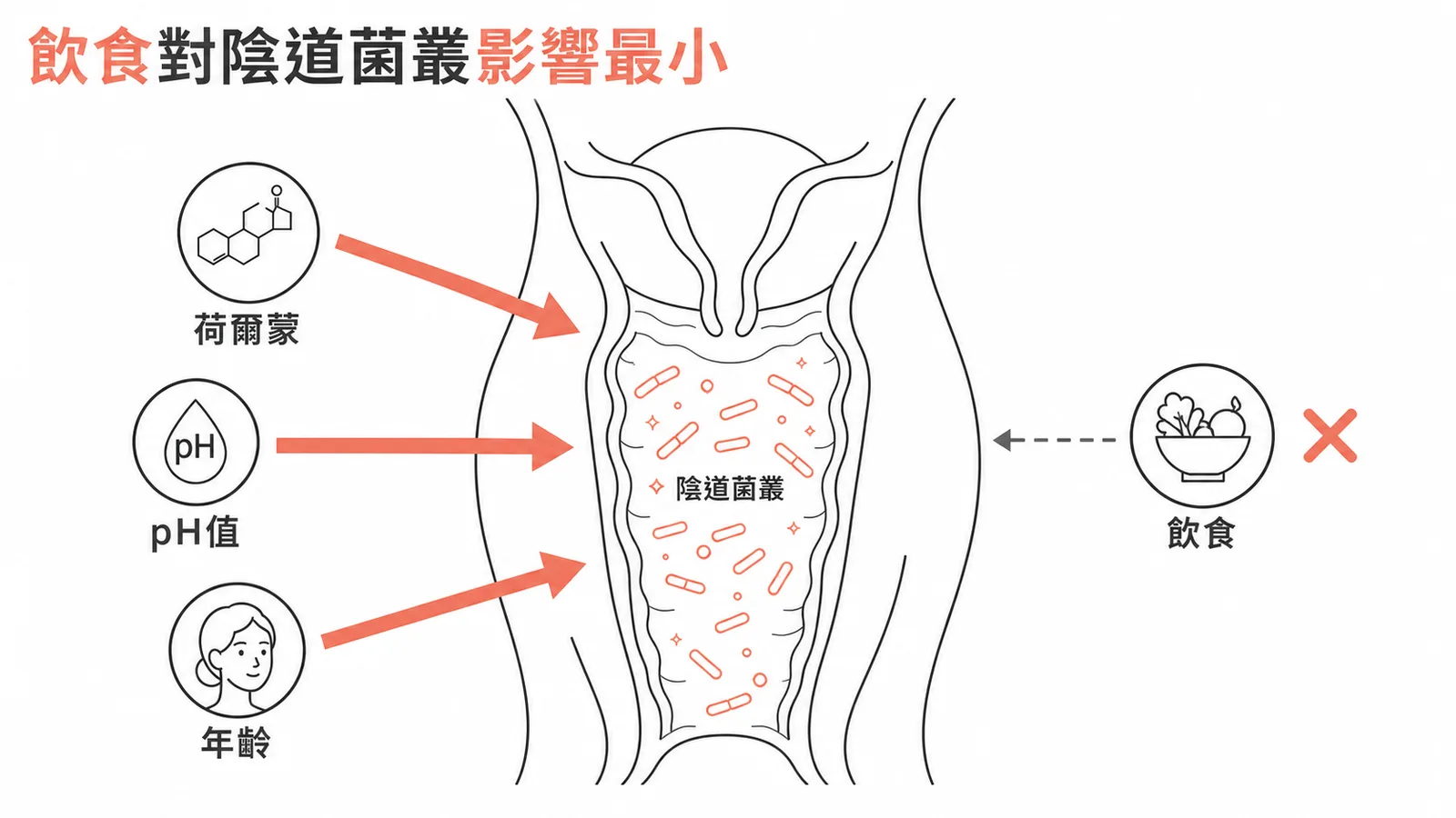 陰道菌叢受荷爾蒙、pH值、年齡直接影響，飲食影響最小