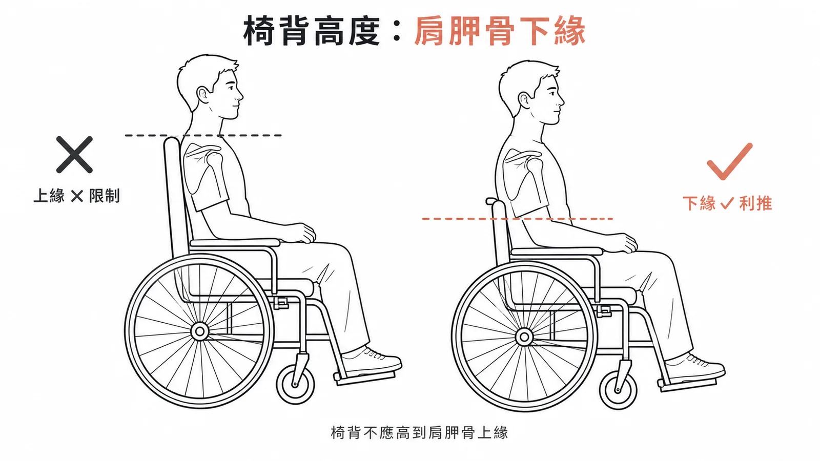 輪椅椅背高度應在肩胛骨下緣以利推動