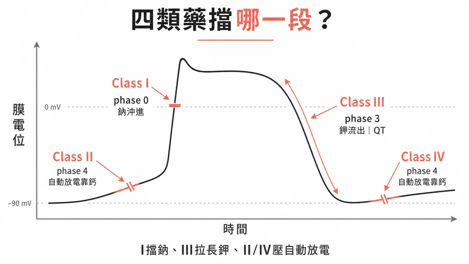 心肌動作電位四階段與四類藥的作用位置：Class I 擋 phase 0 鈉、II/IV 壓 phase 4、III 拉長 phase 3