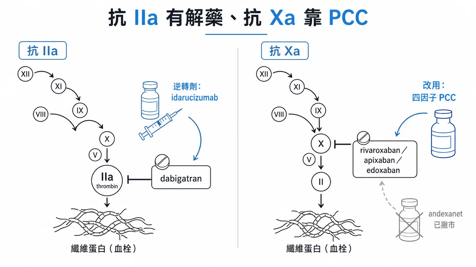 DOAC 兩類與逆轉劑：dabigatran 抗 IIa 有 idarucizumab；Xa 抑制劑 andexanet 已撤市、改用 PCC
