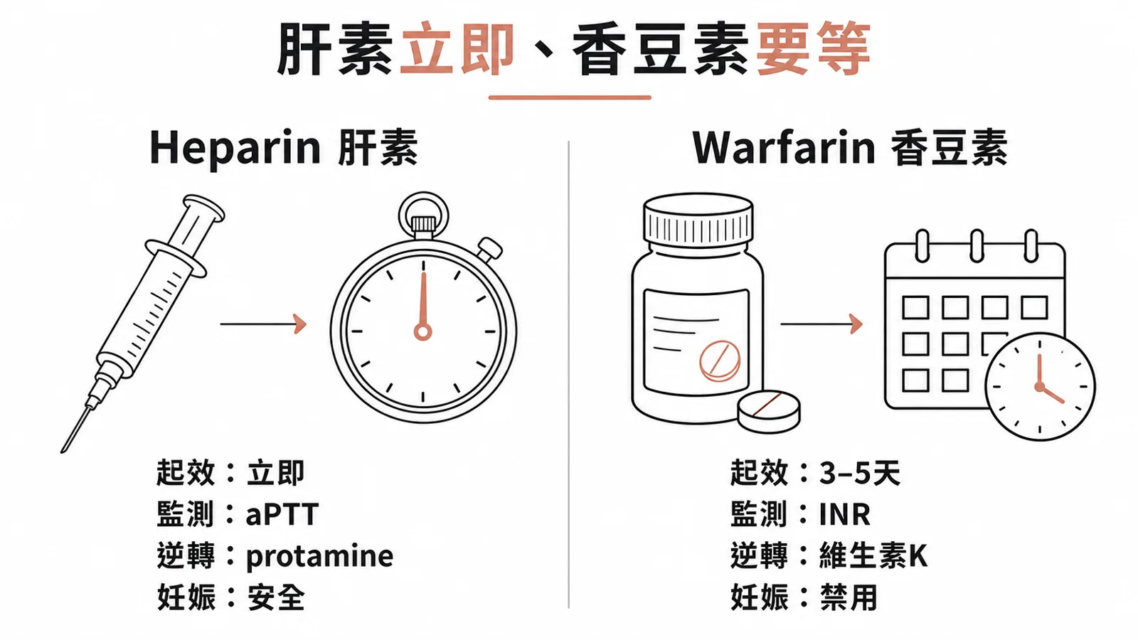 heparin 與 warfarin 對照：起效、監測（aPTT vs INR）、逆轉（protamine vs 維生素 K）、妊娠安全性