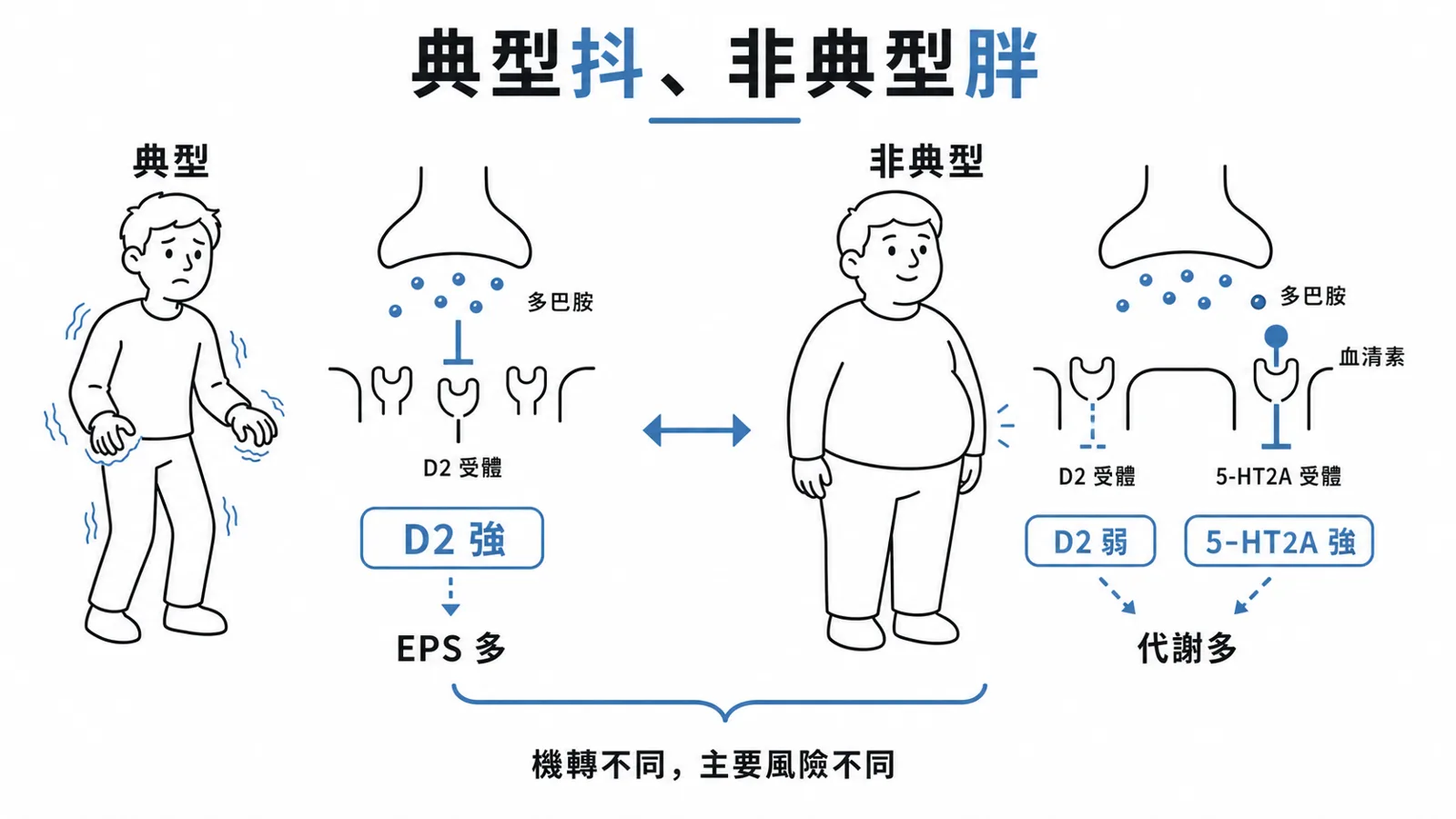 抗精神病藥機轉:典型 D2 阻斷強、EPS 多;非典型 5-HT2A 阻斷強、代謝副作用多
