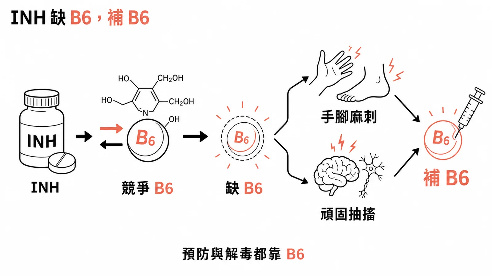 isoniazid 耗盡維生素 B6(pyridoxine),造成周邊神經病變;中毒時 GABA 做不出來而頑固抽搐,預防與解毒都是 B6