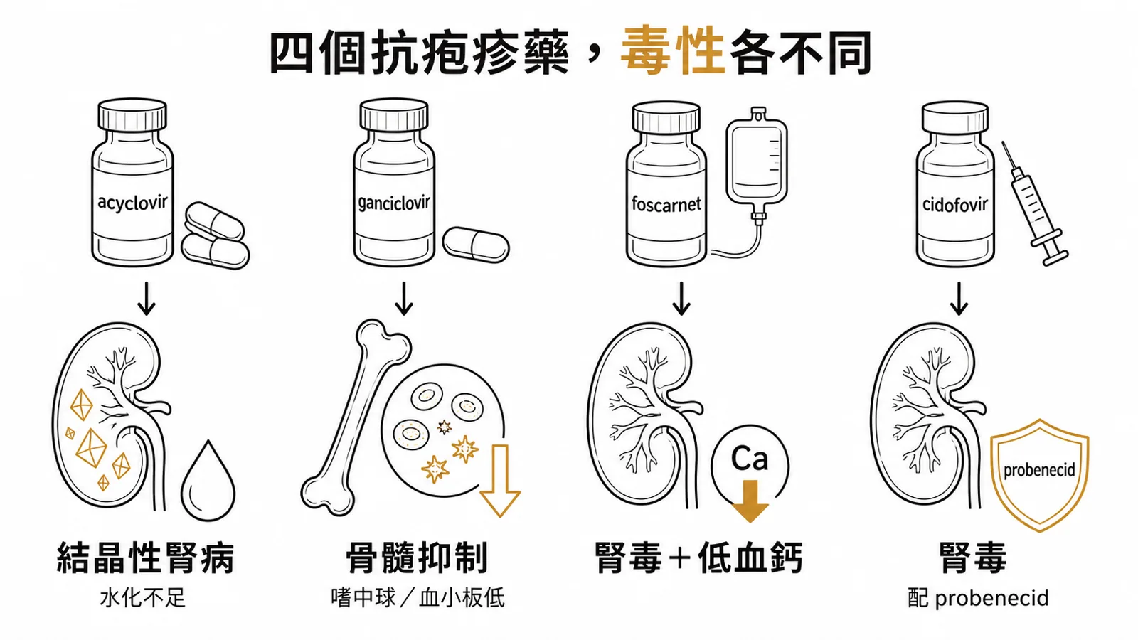 抗疱疹病毒藥毒性對照：acyclovir 結晶性腎病、ganciclovir 骨髓抑制、foscarnet 腎毒加低血鈣、cidofovir 腎毒