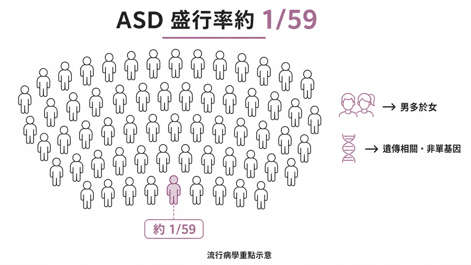 自閉症流行病學：盛行率約 1/59、男性多於女性、非單基因、手足發展障礙風險較高