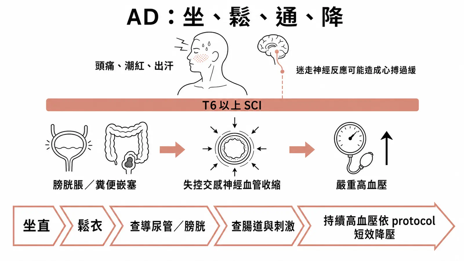 Autonomic dysreflexia:T6 以上脊髓損傷後,膀胱或腸道刺激引發病灶下方血管收縮與急性高血壓