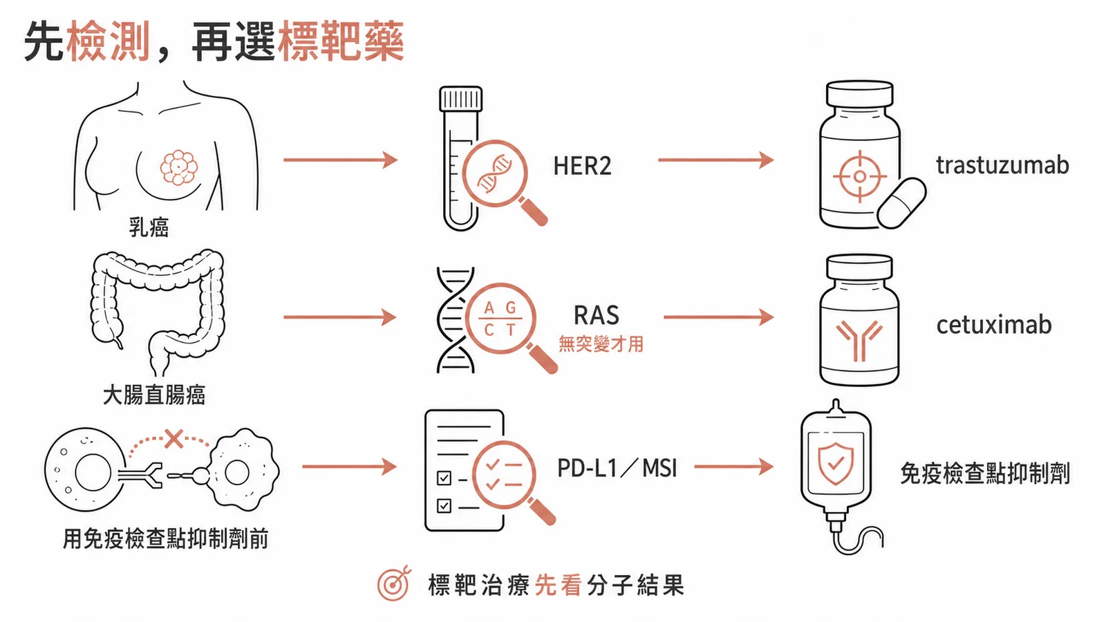 用藥前檢測決策流程:乳癌先驗 HER2 再決定 trastuzumab、大腸直腸癌先驗 RAS(無突變才用)再決定 cetuximab、用免疫檢查點抑制劑前先看 PD-L1 與 MSI/dMMR