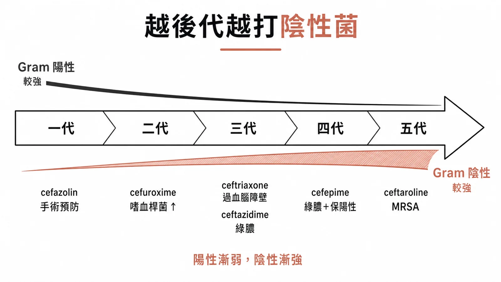 Cephalosporin 世代越後陽性越弱、陰性越強:一代 cefazolin 顧陽開刀、三代 ceftazidime 打綠膿、五代 ceftaroline 打 MRSA