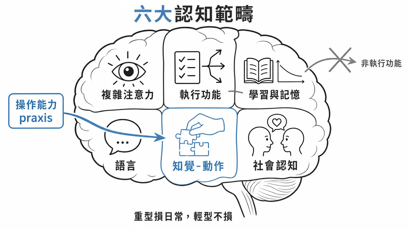 失智症六大認知範疇：複雜注意力、執行功能、學習記憶、語言、知覺動作、社會認知