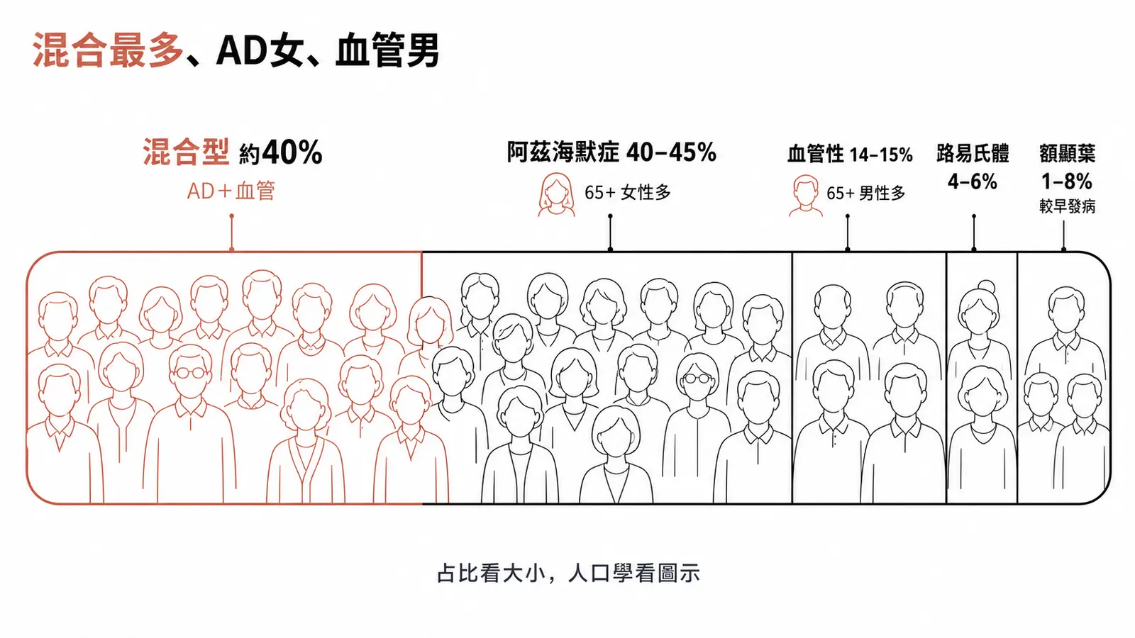 失智四大亞型與占比：混合型約 40%、阿茲海默 40-45% 女性多、血管性 14-15% 男性多、路易氏體與額顳葉