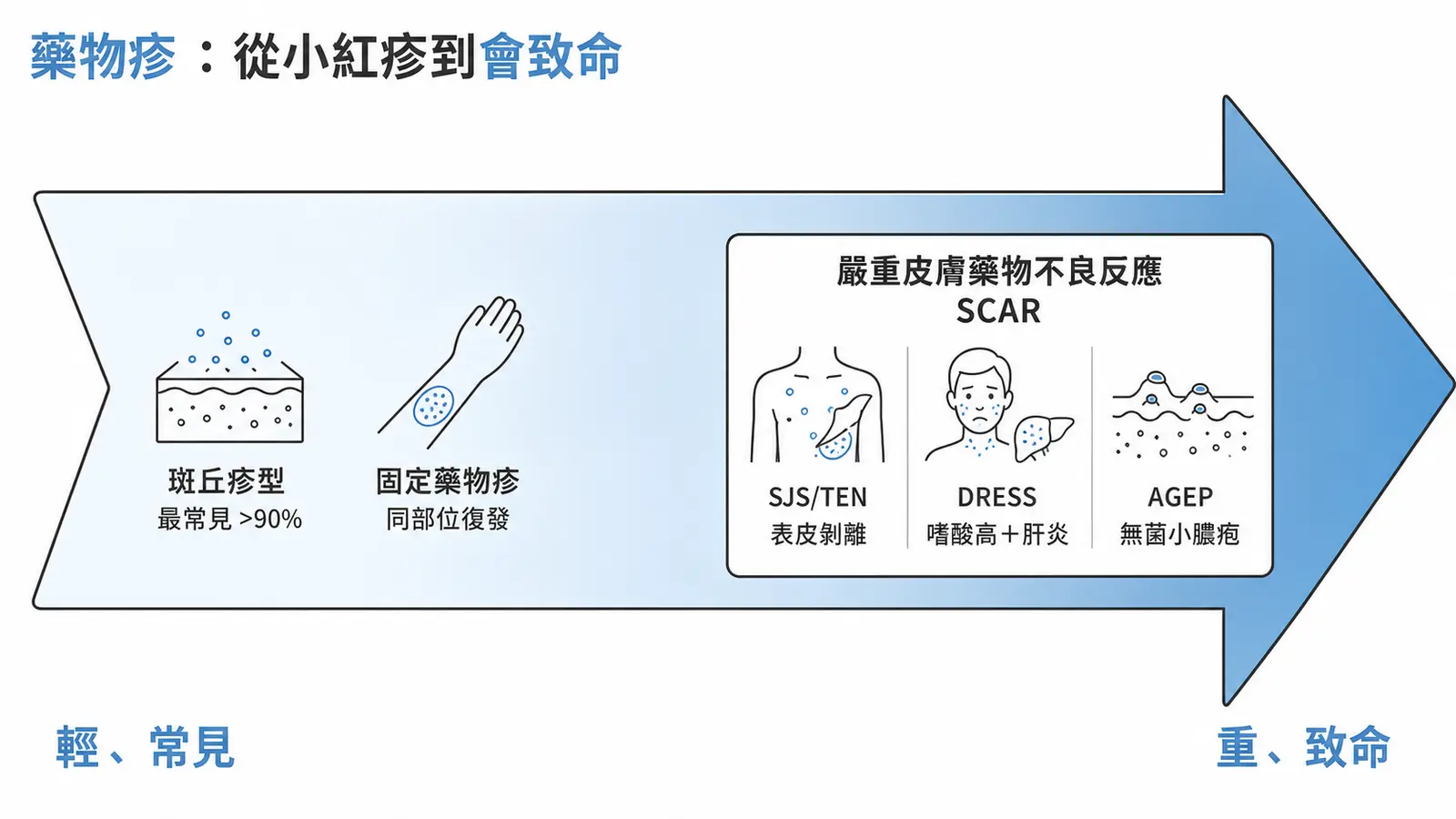 藥物疹嚴重度光譜:多數是輕型的斑丘疹型與固定藥物疹,少數是會致命的嚴重皮膚藥物不良反應(SCAR),包括 SJS/TEN、DRESS、AGEP