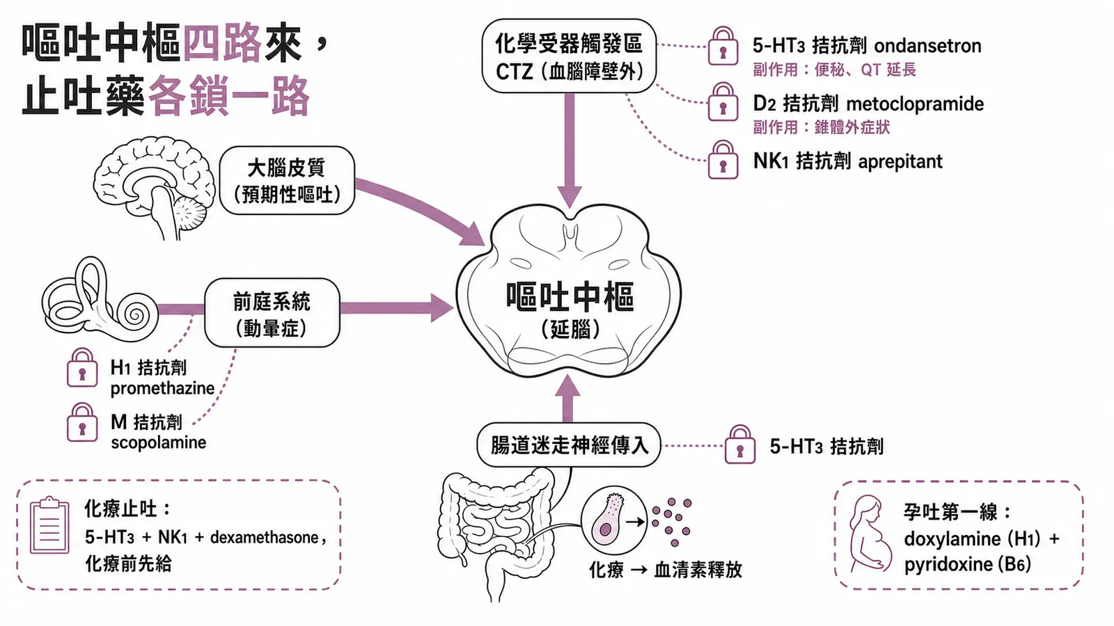 止吐藥依受體分家示意圖：嘔吐中樞接收化學受器觸發區（5-HT3／D2／NK1 拮抗劑各鎖一路）、腸道迷走神經傳入（5-HT3 拮抗劑）、前庭系統（H1 與 M 拮抗劑）與大腦皮質四路訊號；化療止吐用 5-HT3＋NK1＋dexamethasone 且需化療前先給，孕吐第一線是 doxylamine 加 pyridoxine