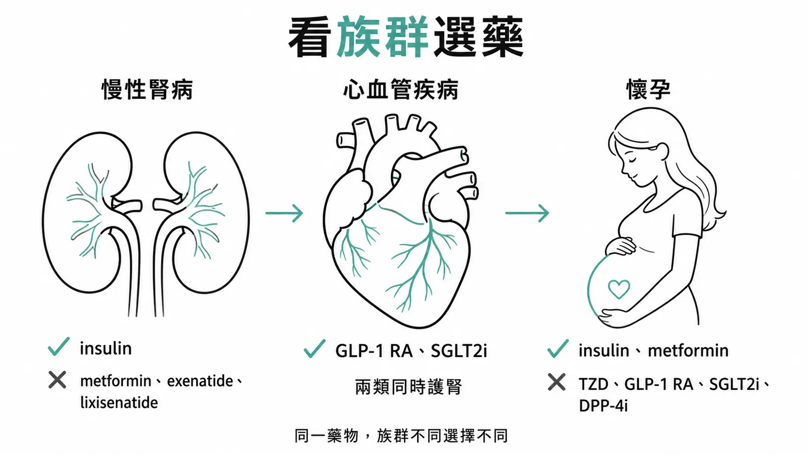 降血糖藥物在腎病、心血管疾病與懷孕的選藥線稿圖