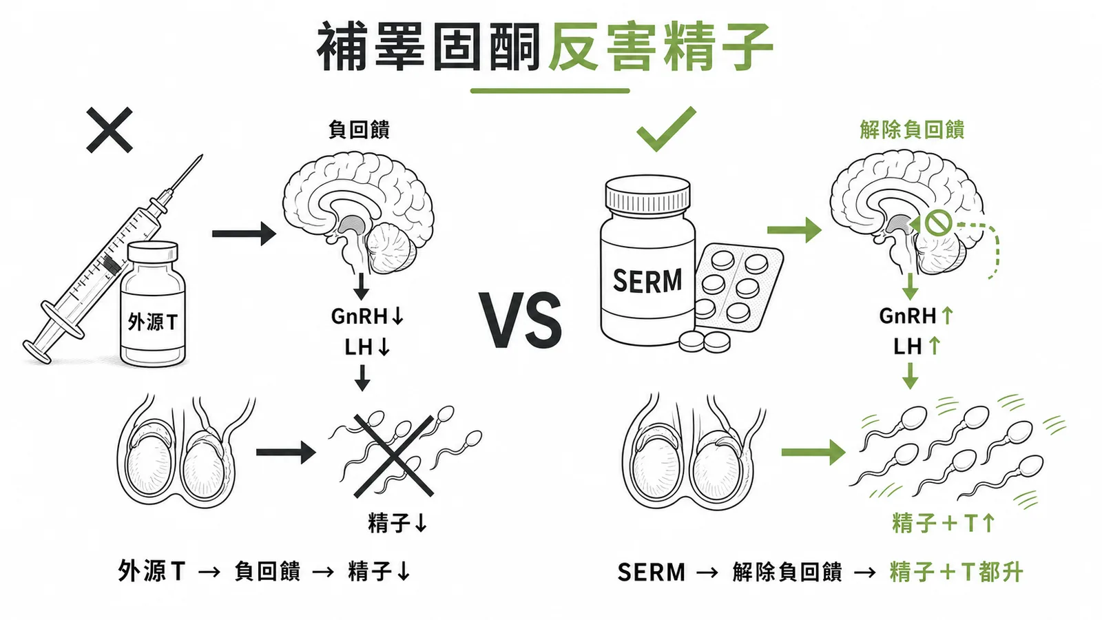 外源性 testosterone 補充反害精子生成，應改用 SERM 刺激內源性分泌