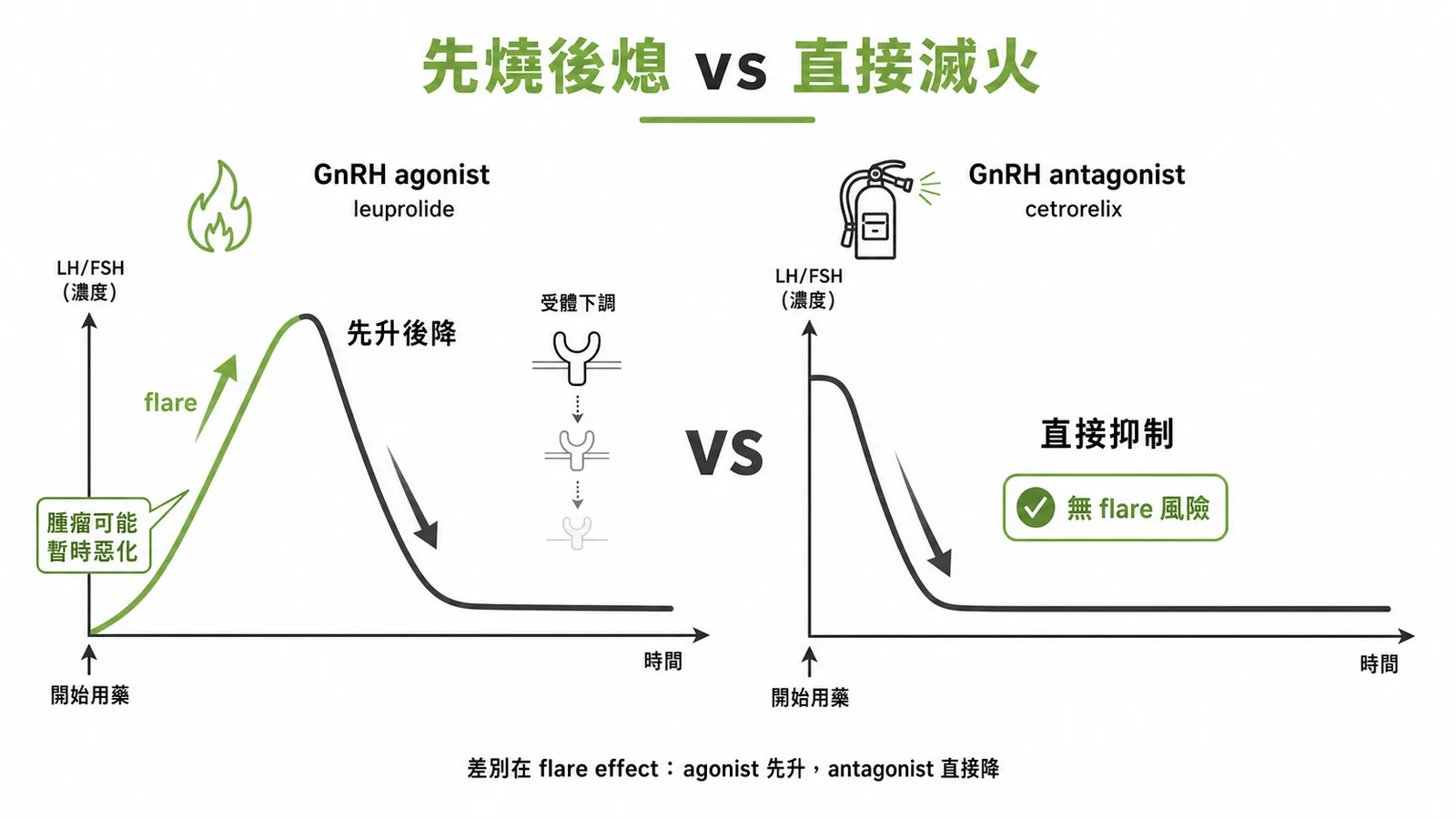GnRH agonist 先燒後熄 vs antagonist 直接滅火的比較圖
