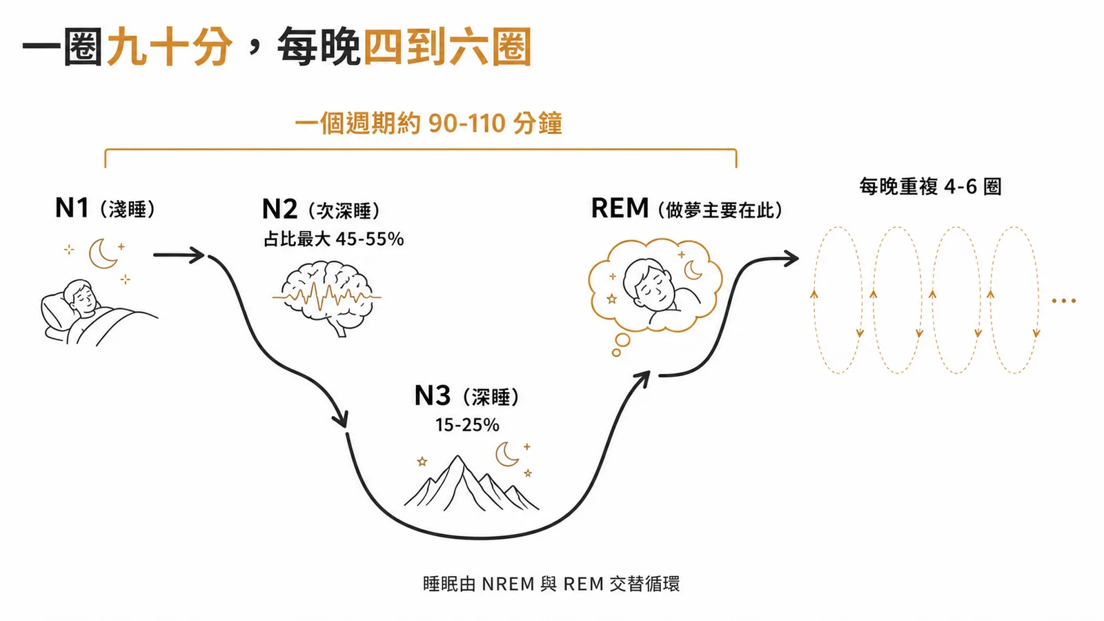 正常睡眠週期:NREM 的 N1、N2、N3 加 REM,一個週期約 90 到 110 分鐘、每晚 4 到 6 圈