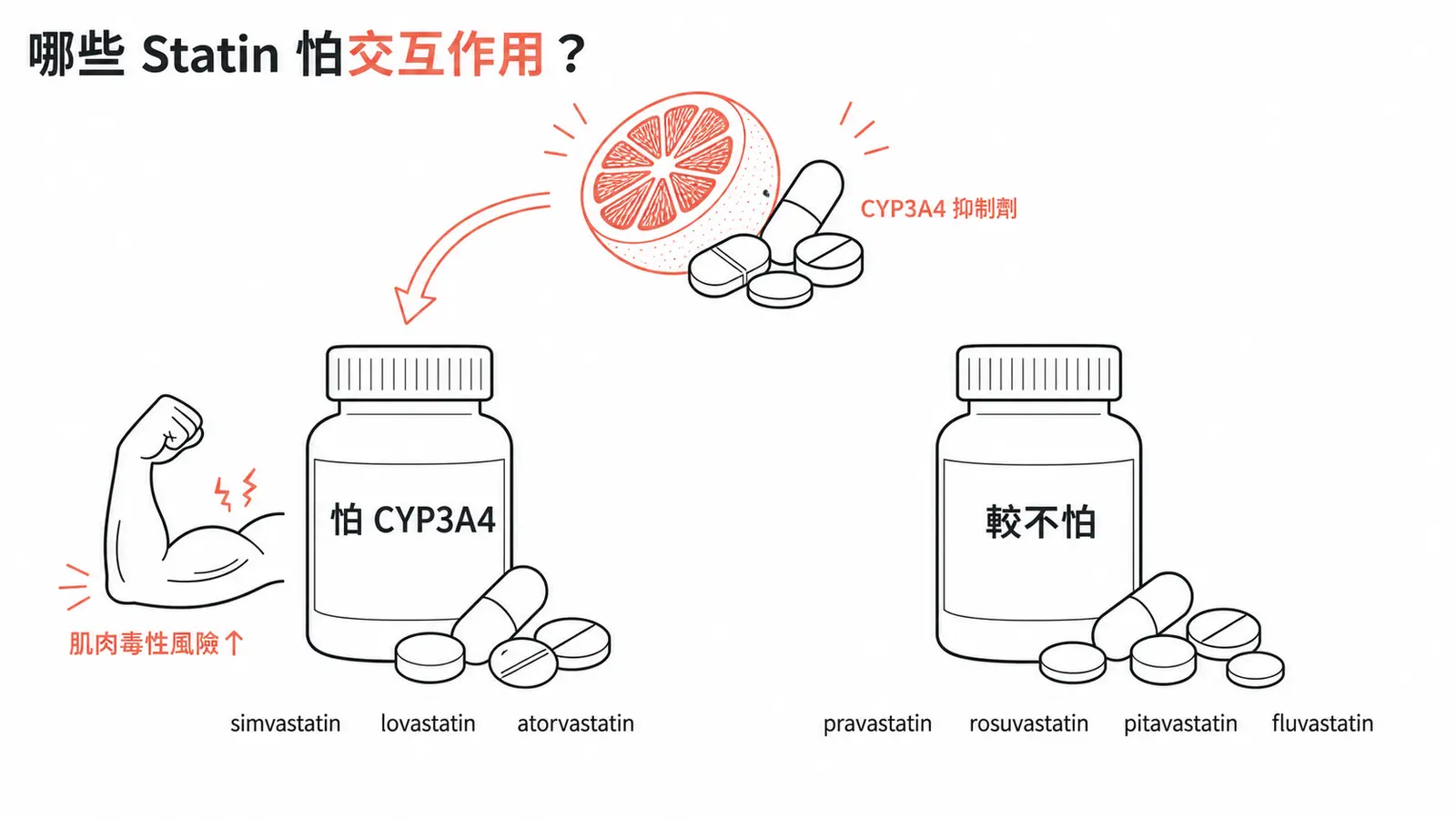 Statin 藥物交互作用與 CYP3A4 代謝分群線稿圖