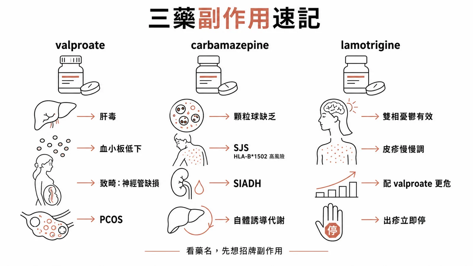 三藥副作用速記：valproate、carbamazepine、lamotrigine