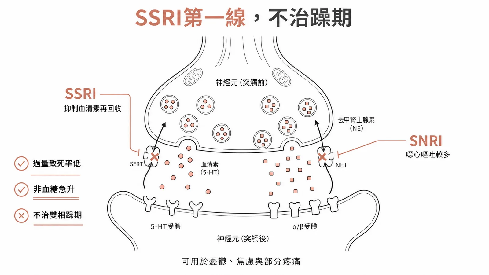 SSRI 第一線不治躁期：SSRI 與 SNRI 突觸機制