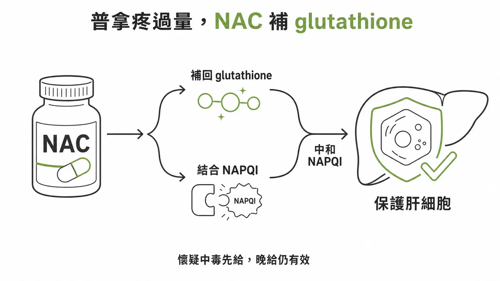 acetaminophen 過量的解毒劑是 N-acetylcysteine（NAC），補回 glutathione、直接結合 NAPQI；懷疑就給、別等濃度