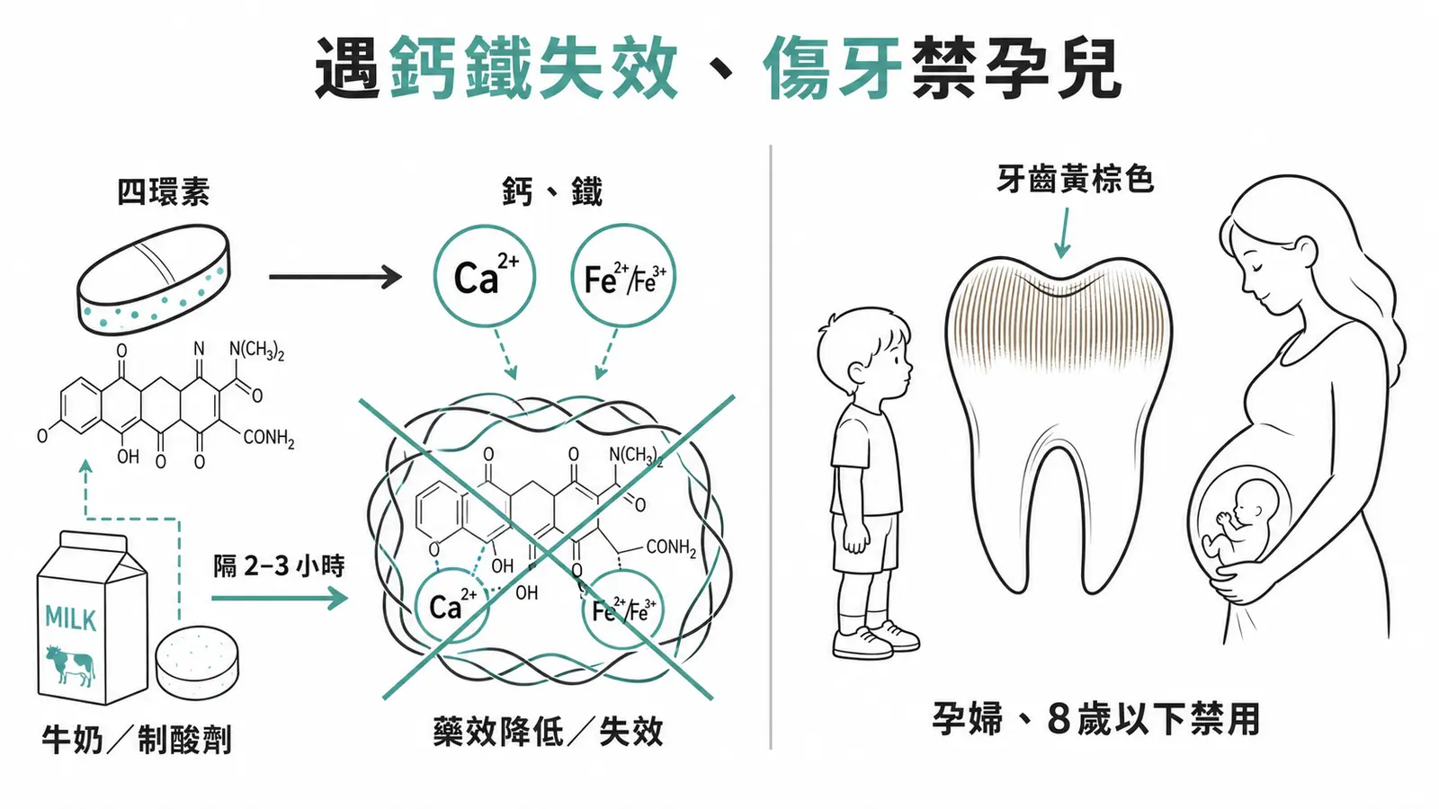 tetracycline 會和鈣、鎂、鐵等陽離子螯合而失效，還會沉積牙齒骨骼、孕婦與 8 歲以下兒童禁用