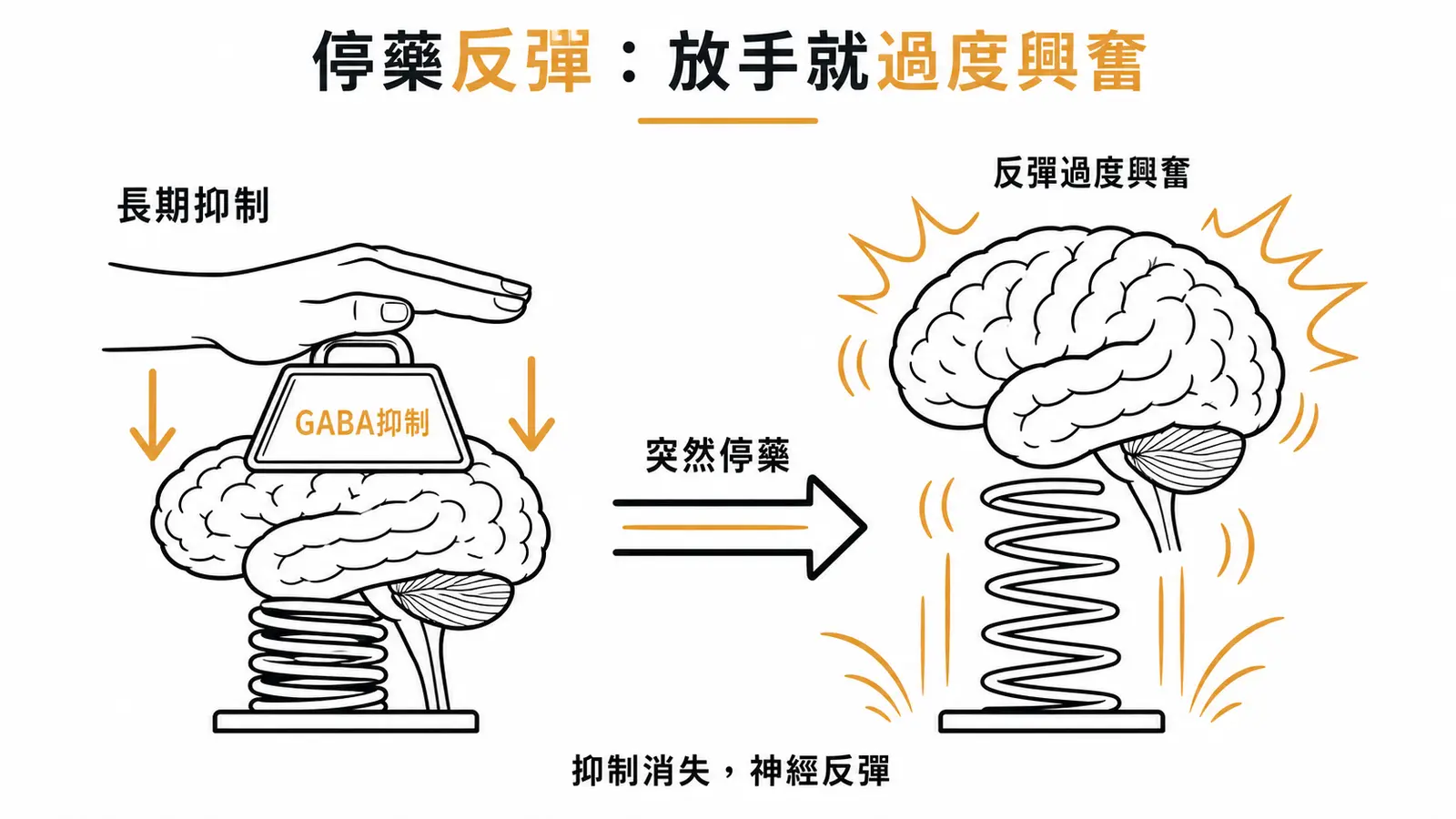 戒斷反彈機轉:長期 GABA 抑制如彈簧被壓住,突然停藥放手就反彈過度興奮