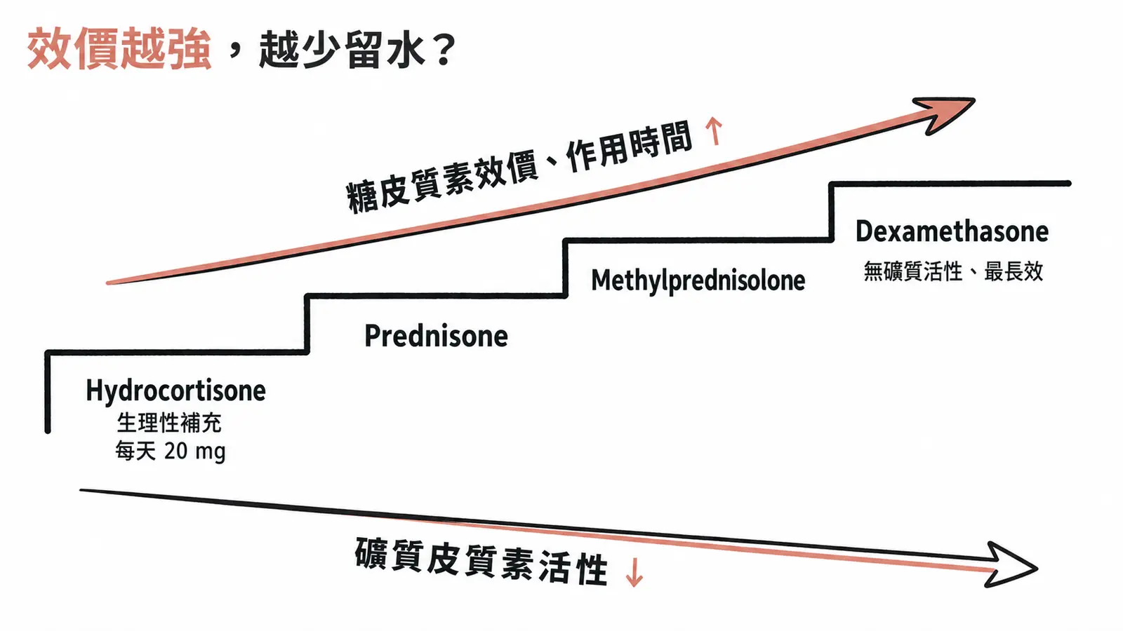四種糖皮質素效價與礦質皮質素活性比較線稿圖